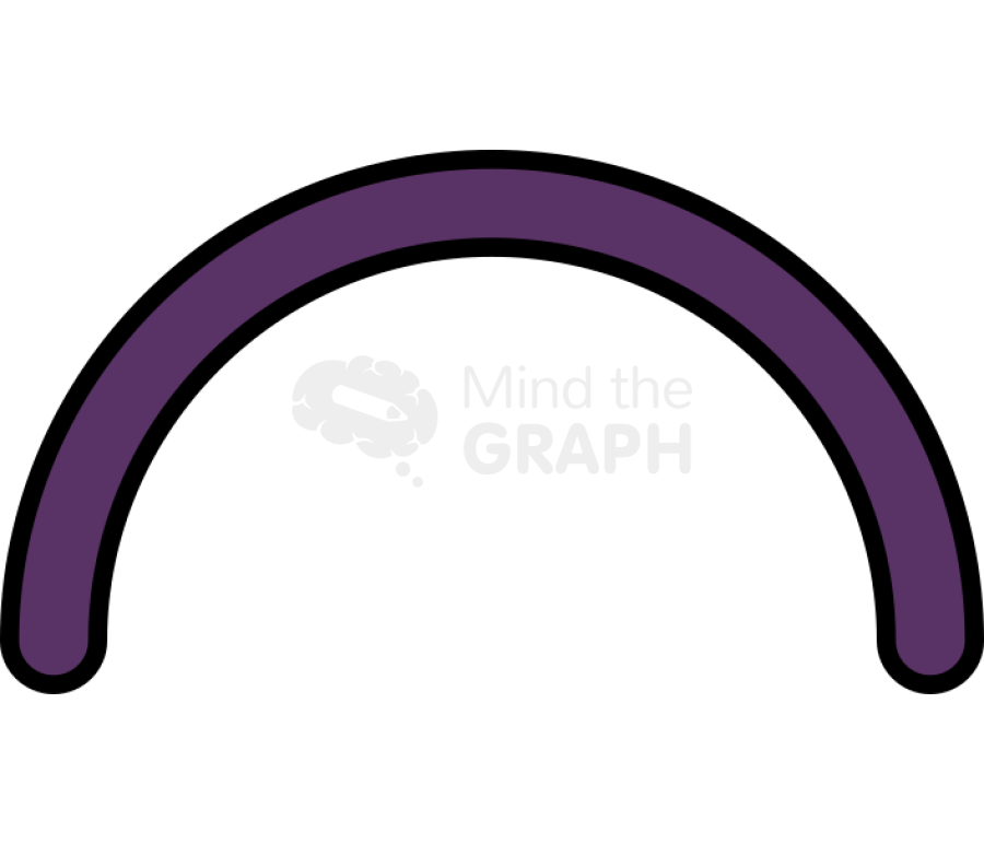 Protein filament 1 Icons, Symbols, Pictures, and Images