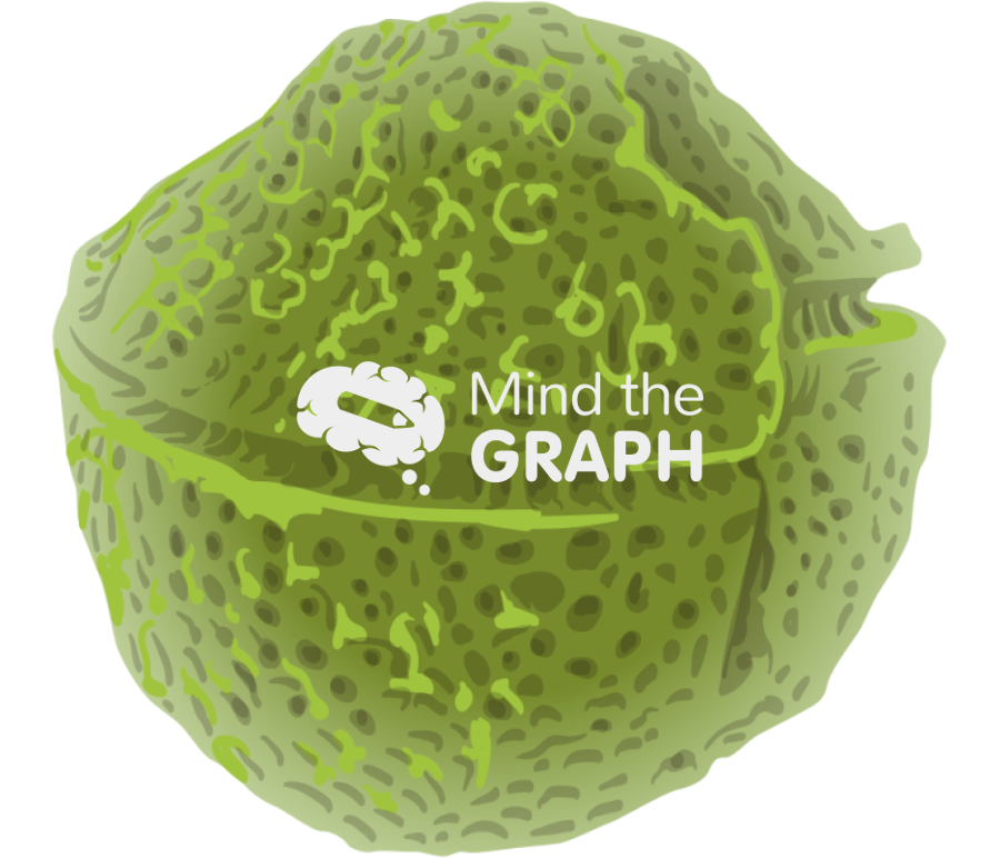 Protoceratium reticulatum dinoflagellate Icons, Symbols, Pictures, and Images