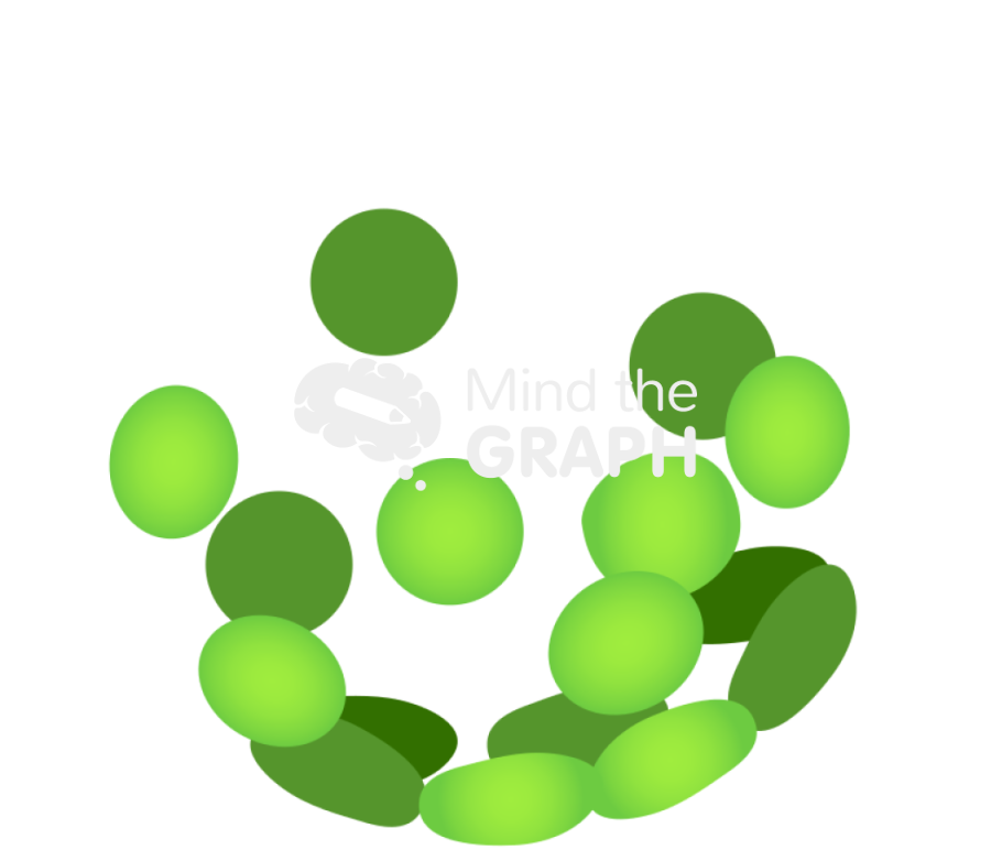 Protoplast cell 1 Icons, Symbols, Pictures, and Images