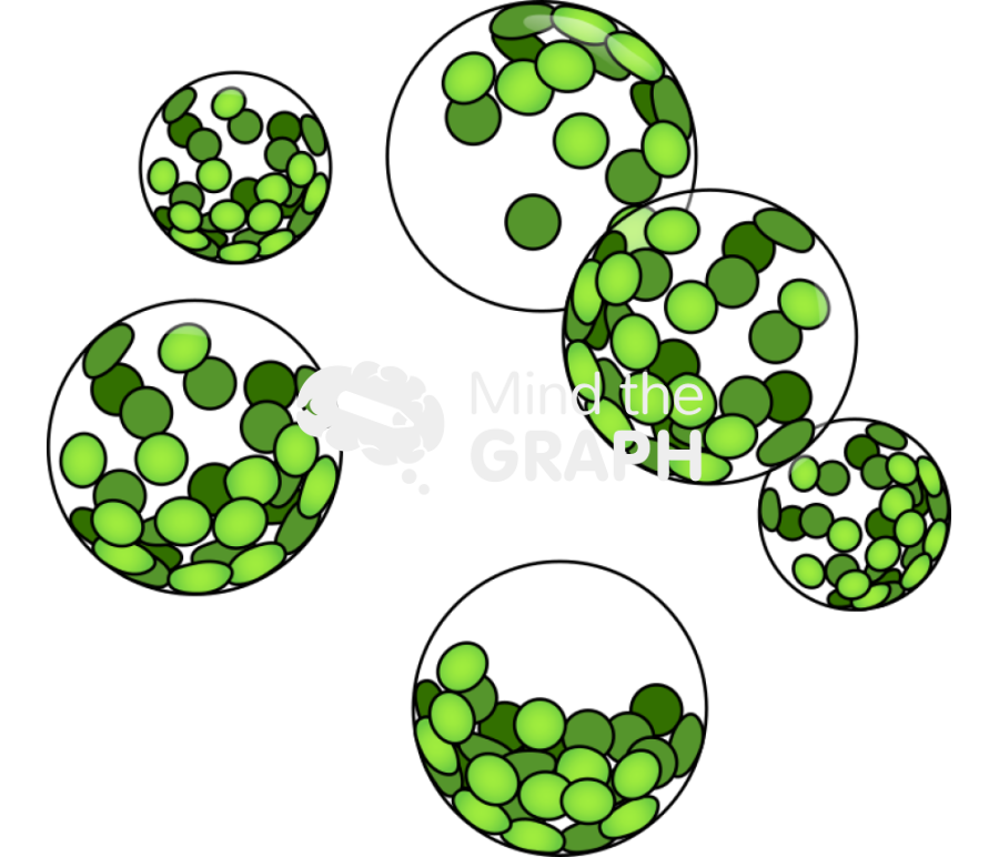 Protoplast cell 3 Icons, Symbols, Pictures, and Images