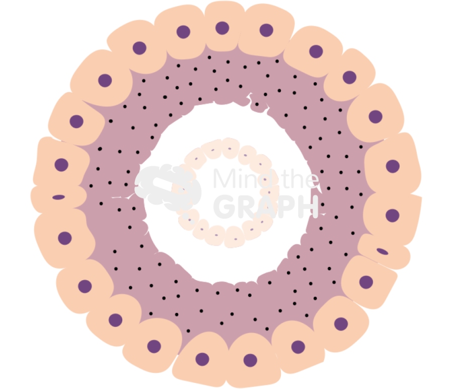 Pseudocoelomate Icons, Symbols, Pictures, and Images