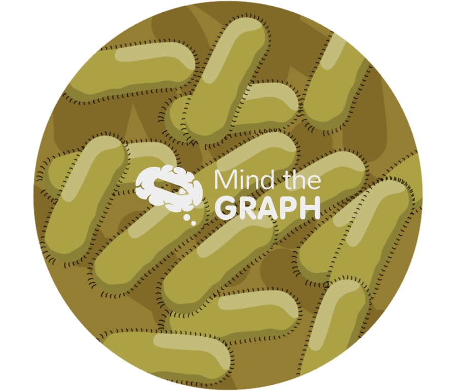 Pseudomonas aeruginosa bacteria zoom Icons, Symbols, Pictures, and Images