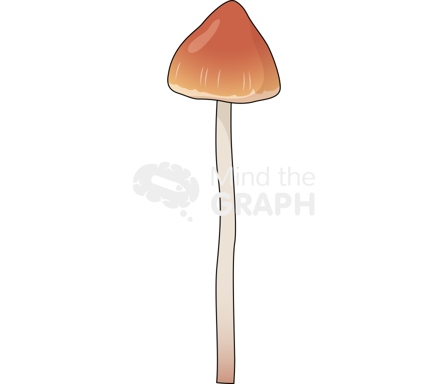 Psilocybe azurescens Icons, Symbols, Pictures, and Images