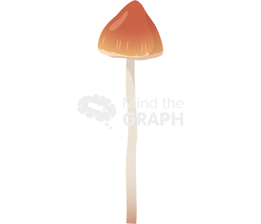 Psilocybe azurescens Icons, Symbols, Pictures, and Images