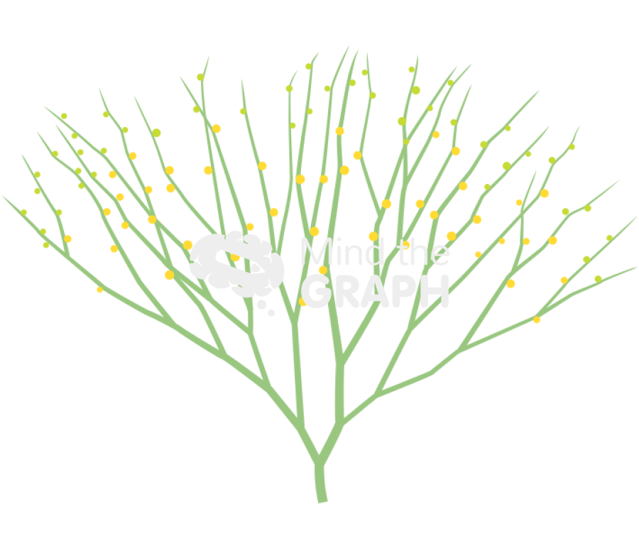 Psilotum nudum 1 Icons, Symbols, Pictures, and Images