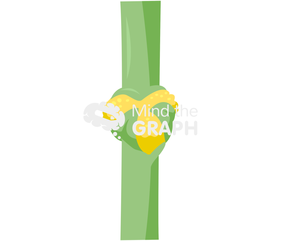 Psilotum nudum 4 Icons, Symbols, Pictures, and Images