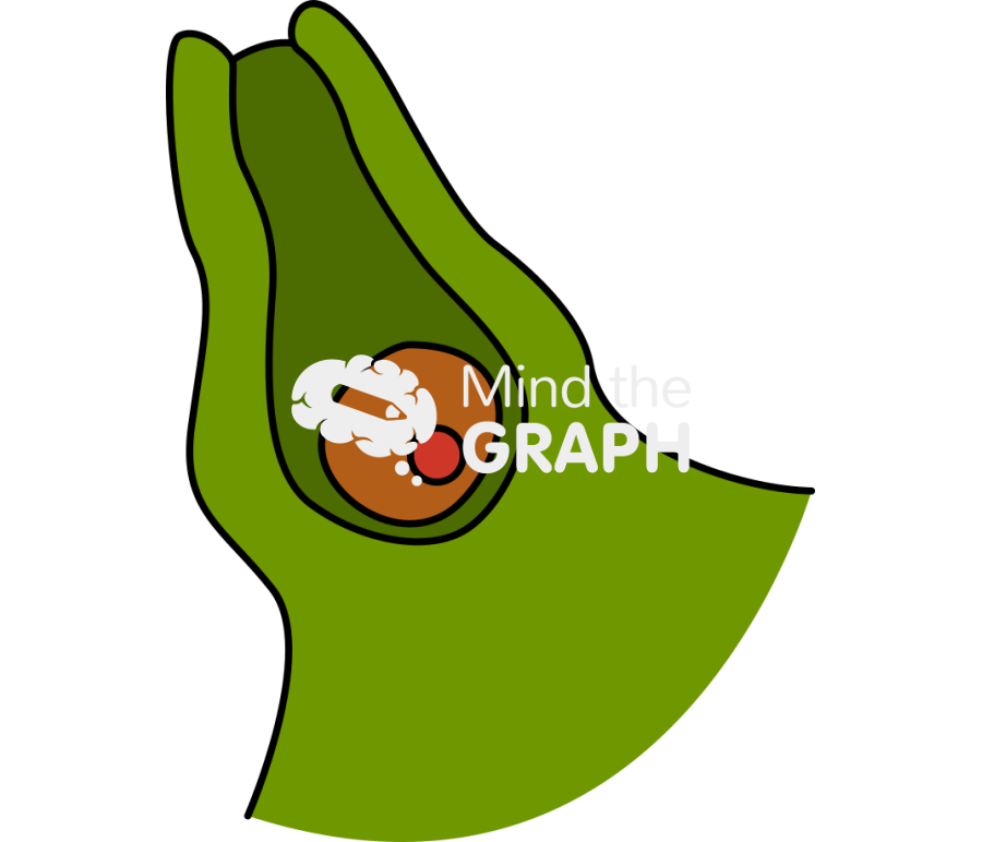 Pteridophyta archegonium zygote Icons, Symbols, Pictures, and Images