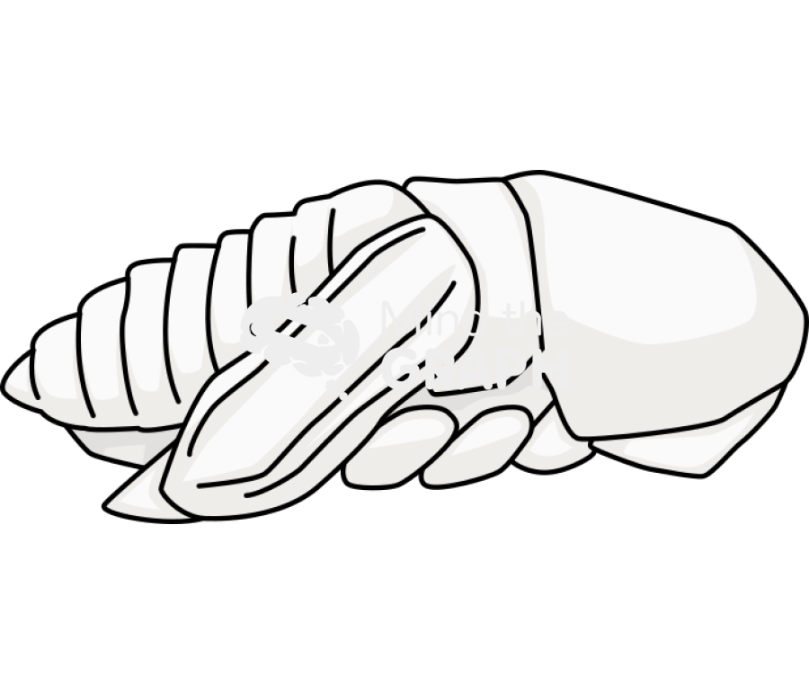 Pupa bark beetle Icons, Symbols, Pictures, and Images