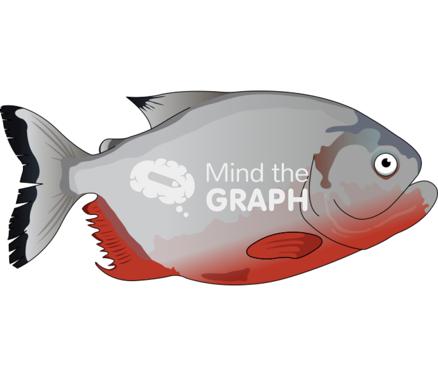 Pygocentrus nattereri Icons, Symbols, Pictures, and Images