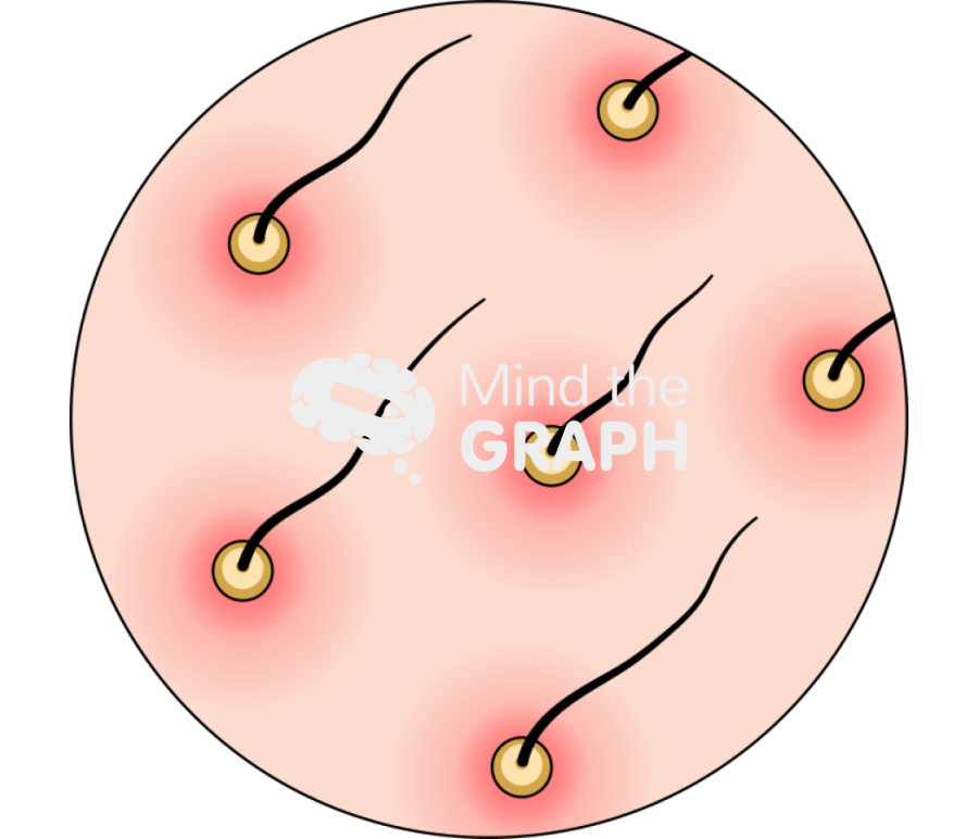 Pyogenic folliculitis zoom Icons, Symbols, Pictures, and Images