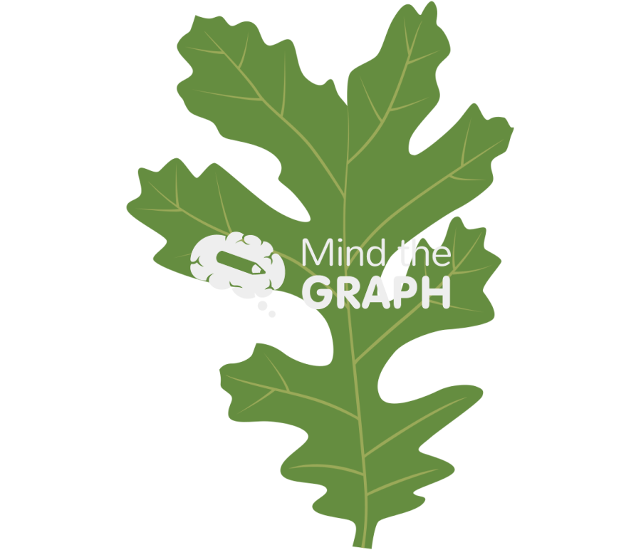 Quercus lobata leaf Icons, Symbols, Pictures, and Images