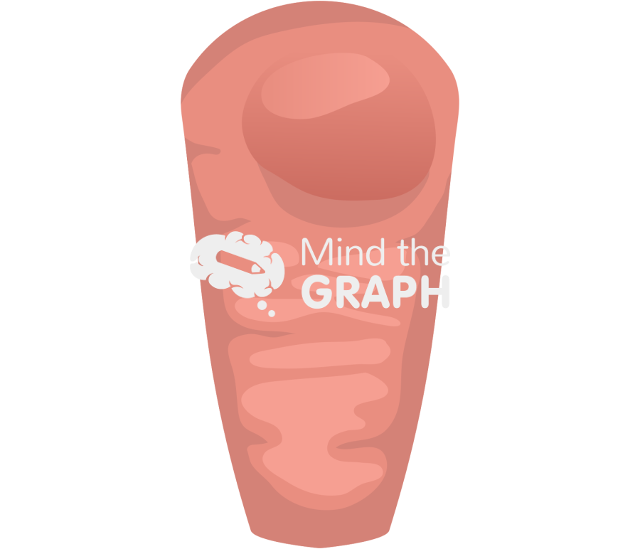Radiation treatment rectal 1 Icons, Symbols, Pictures, and Images