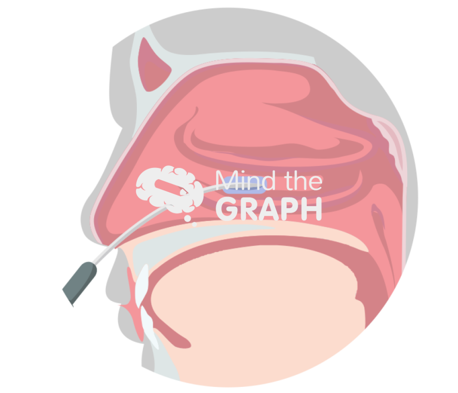 Radiofrequency lower concha Icons, Symbols, Pictures, and Images