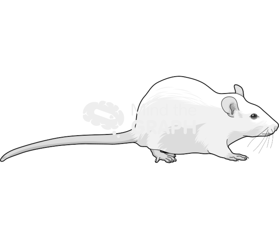 Rat 1 Icons, Symbols, Pictures, and Images