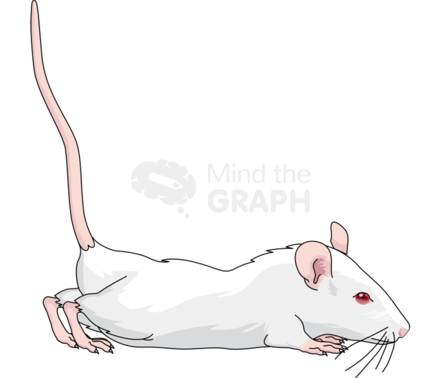 Rat abdominal contortion Icons, Symbols, Pictures, and Images