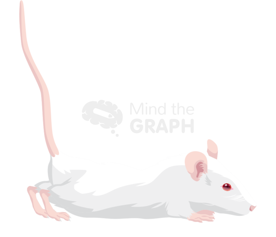 Rat abdominal contortion Icons, Symbols, Pictures, and Images