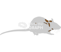 Rat adipose tissue 1 shape Icons, Symbols, Pictures, and Images