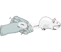 Rat anesthesia procedure 2 - Edit and Customize Icons of Rat anesthesia procedure 2 Rat anesthesia procedure 2 Icons, Symbols, Pictures, and Images