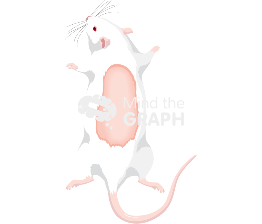 Rat back skin dorsum Icons, Symbols, Pictures, and Images