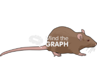Rat brown 1 - Edit and Customize Icons of Rat brown 1 Rat brown 1 Icons, Symbols, Pictures, and Images