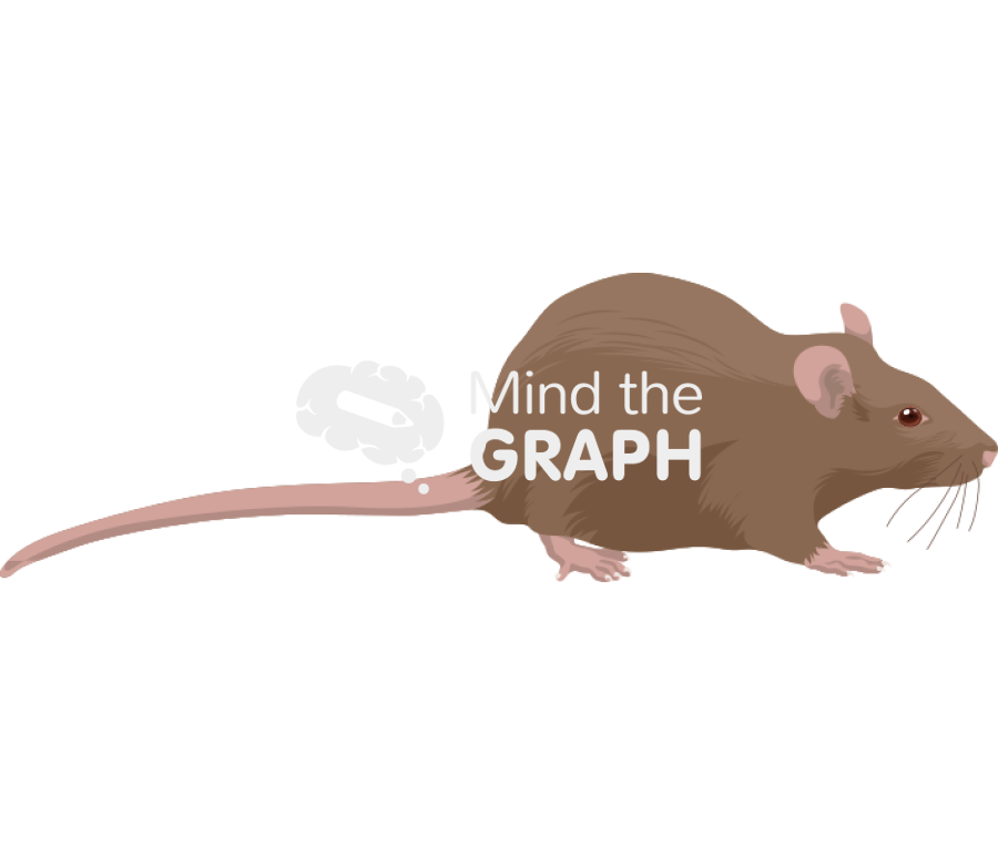 Rat brown 1 Icons, Symbols, Pictures, and Images