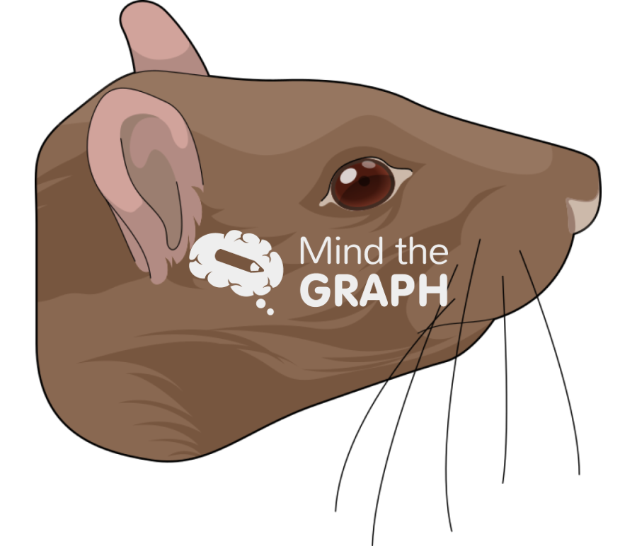 Rat brown head Icons, Symbols, Pictures, and Images
