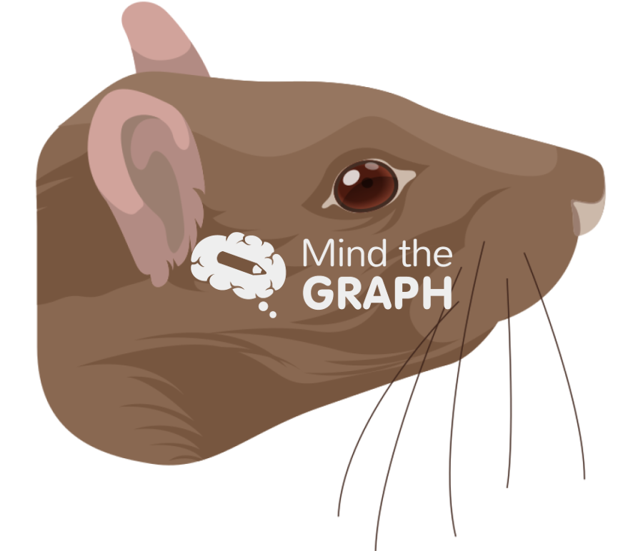 Rat brown head Icons, Symbols, Pictures, and Images