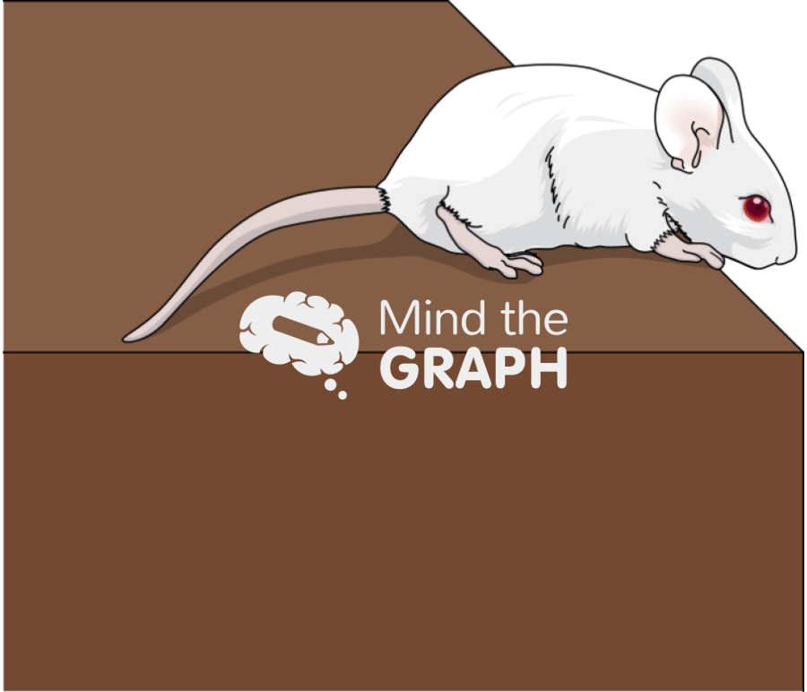 Rat cliff avoidance test lateral Icons, Symbols, Pictures, and Images