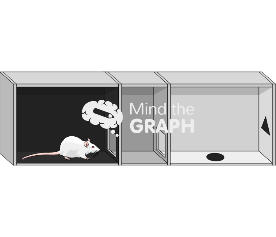 Rat condicioned place preference box Icons, Symbols, Pictures, and Images