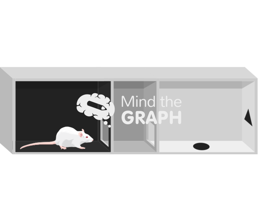 Rat condicioned place preference box Icons, Symbols, Pictures, and Images