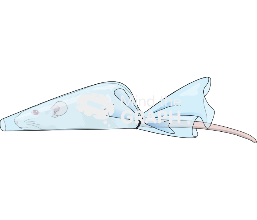 Rat cone restraint Icons, Symbols, Pictures, and Images