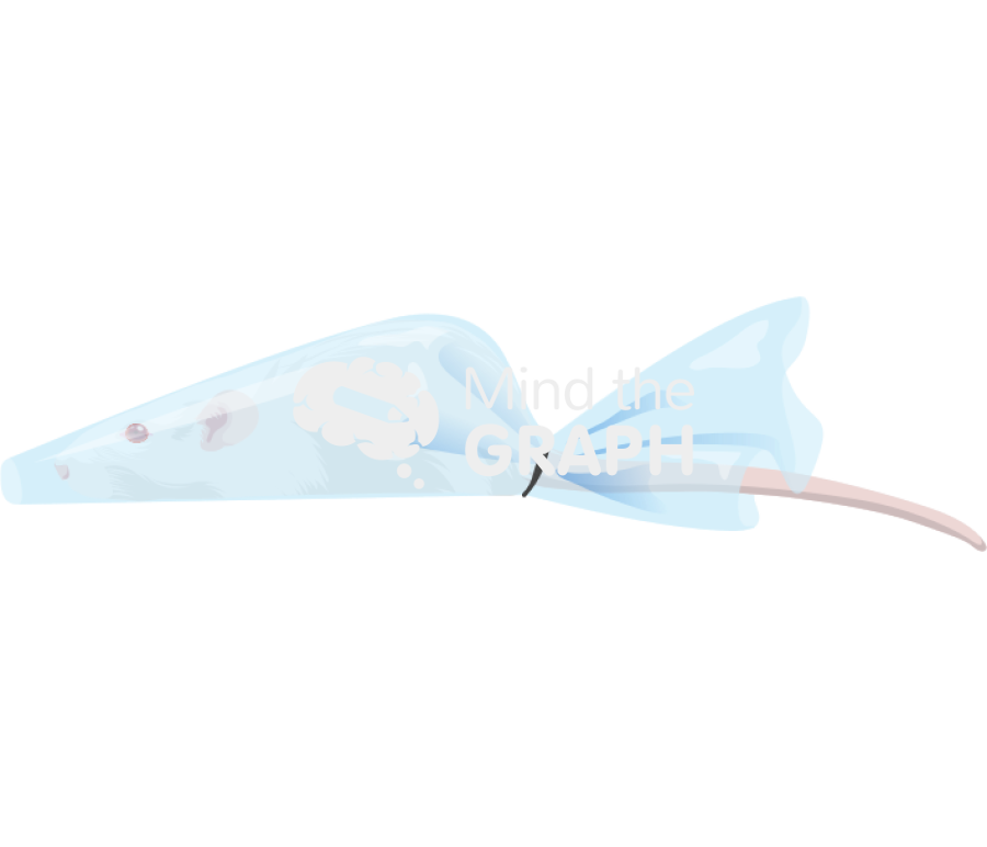 Rat cone restraint Icons, Symbols, Pictures, and Images