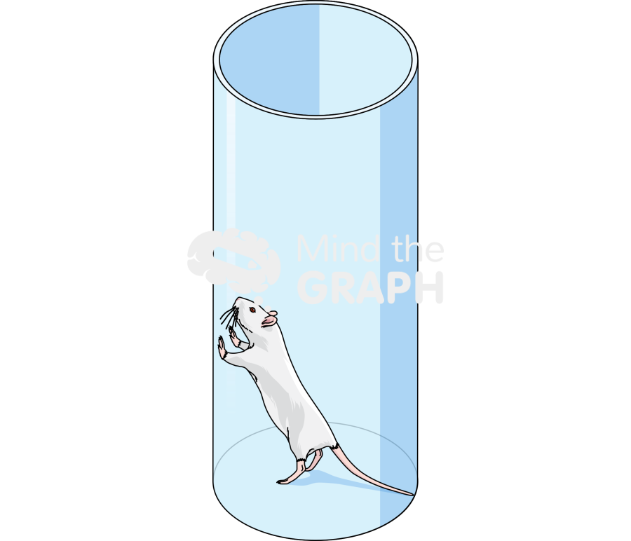 Rat cylinder test isometric Icons, Symbols, Pictures, and Images