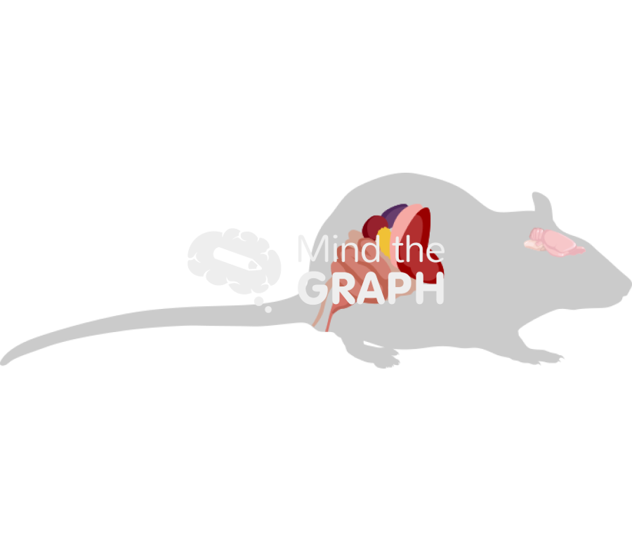 Rat digestive brain systems shape lateral Icons, Symbols, Pictures, and Images