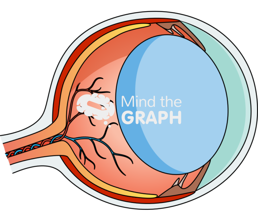 Rat eye lateral cut Icons, Symbols, Pictures, and Images
