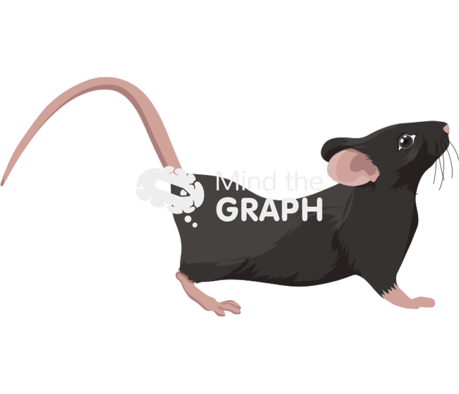 Rat female hooded in lordosis c57bl6 Icons, Symbols, Pictures, and Images