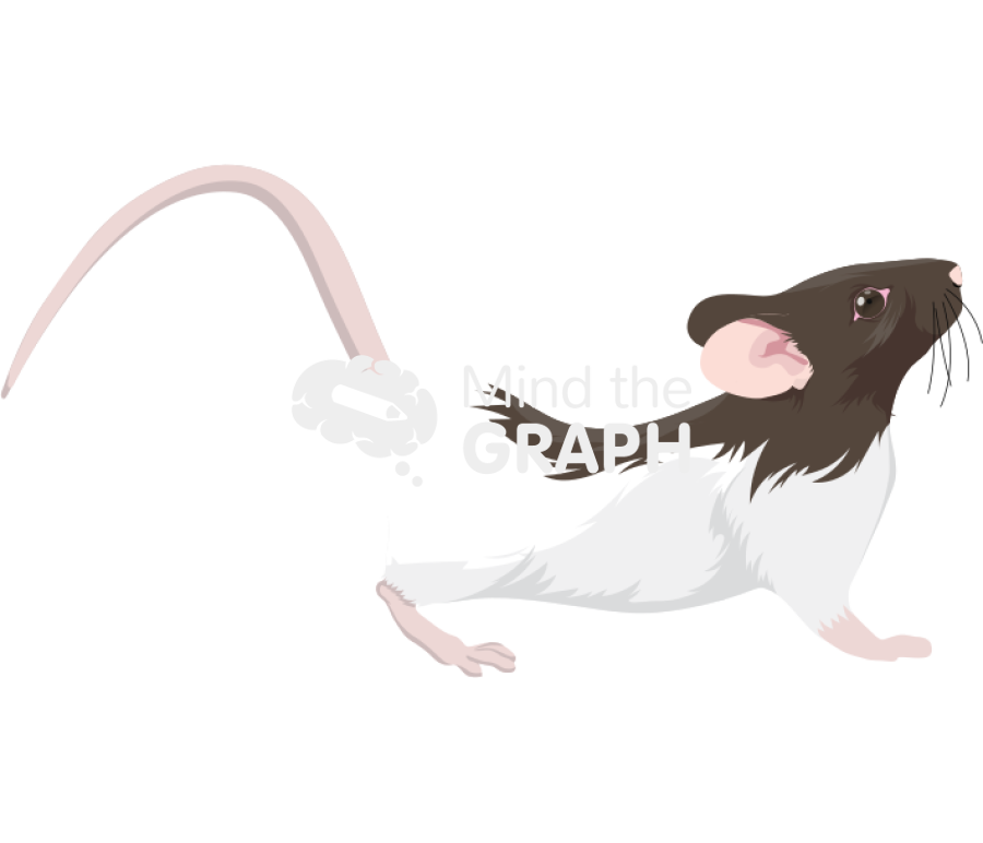 Rat female hooded in lordosis lister Icons, Symbols, Pictures, and Images