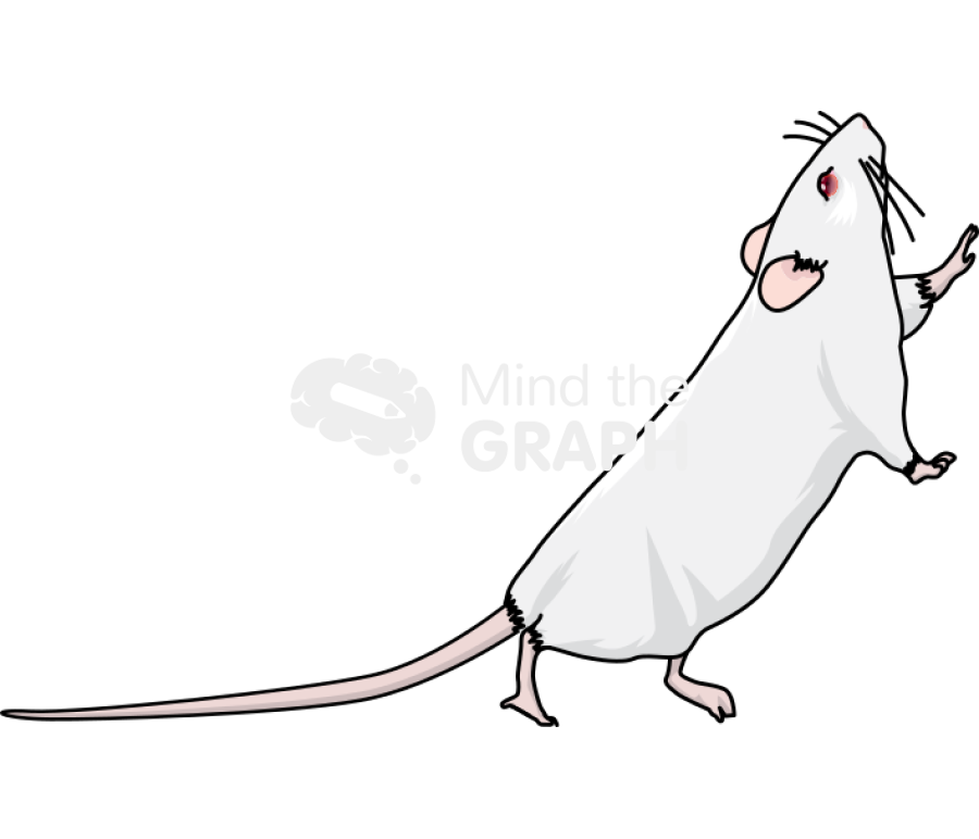 Rat going up lateral Icons, Symbols, Pictures, and Images