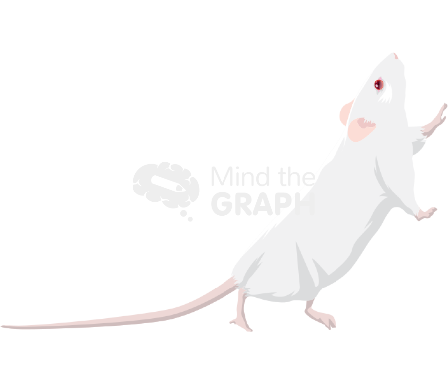 Rat going up lateral Icons, Symbols, Pictures, and Images