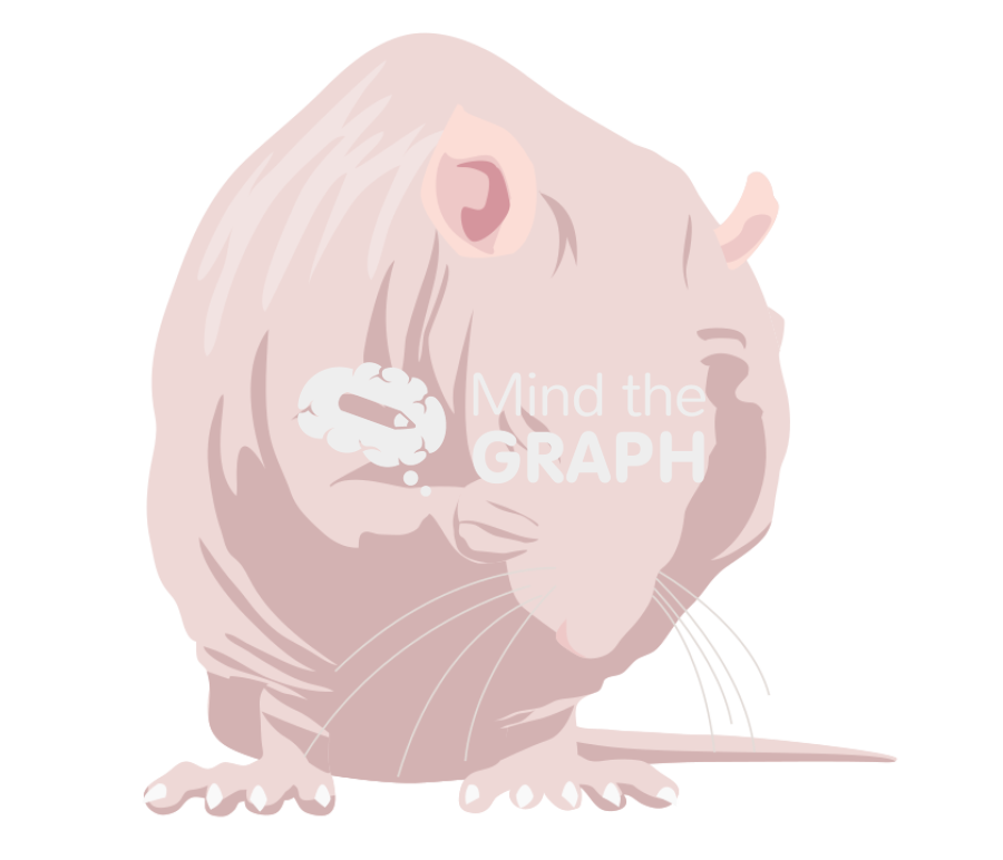 Rat hairless 4 Icons, Symbols, Pictures, and Images