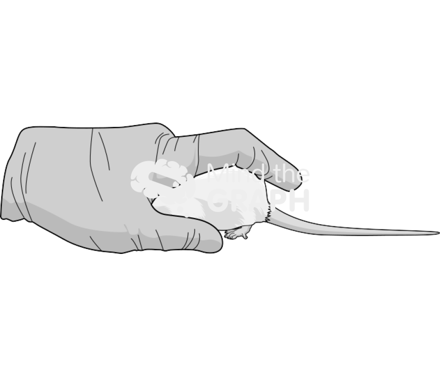 Rat hand 1 Icons, Symbols, Pictures, and Images