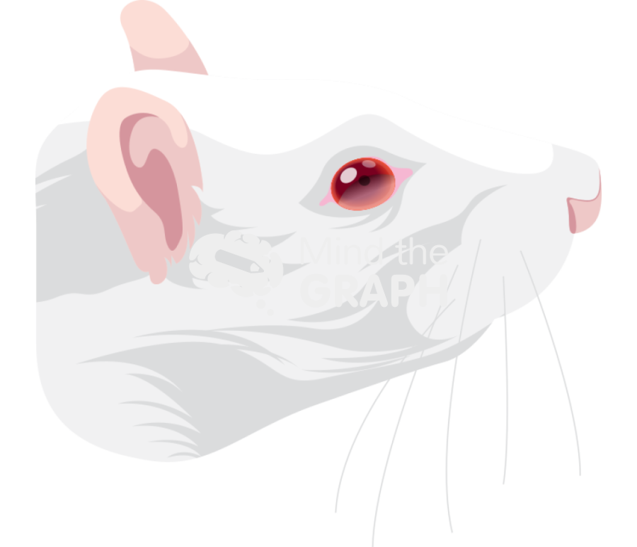 Rat head Icons, Symbols, Pictures, and Images