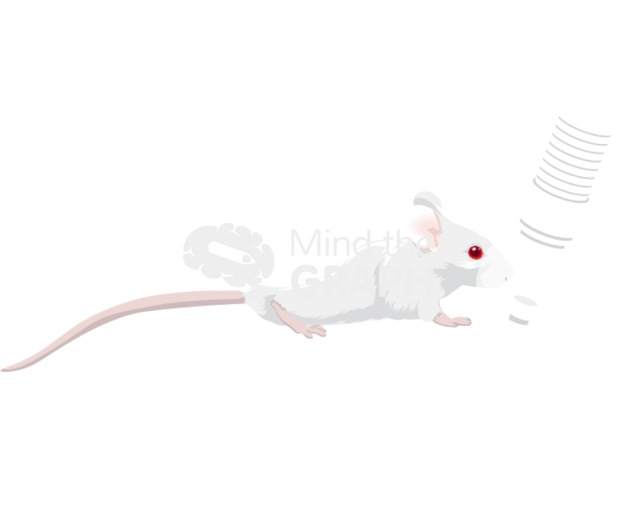 Rat hfnc application Icons, Symbols, Pictures, and Images