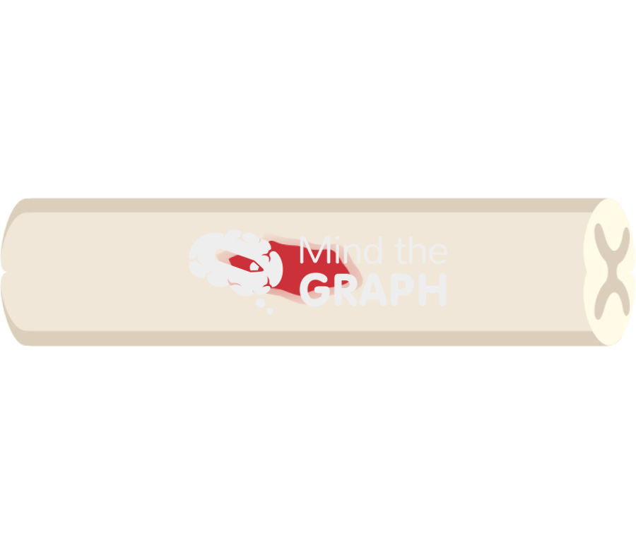 Rat injured spinal cord top view Icons, Symbols, Pictures, and Images