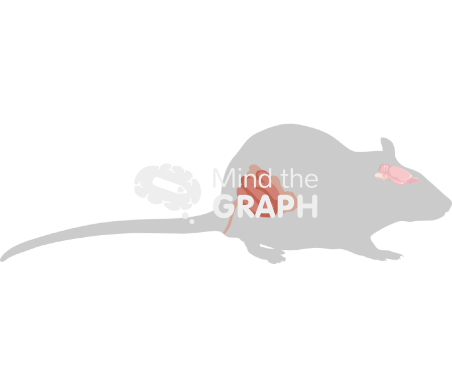 Rat intestine brain shape lateral Icons, Symbols, Pictures, and Images