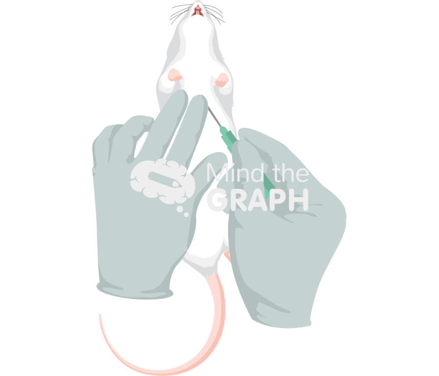 Rat intracardiac puncture Icons, Symbols, Pictures, and Images