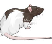 Rat lister 2 - Edit and Customize Icons of Rat lister 2 Rat lister 2 Icons, Symbols, Pictures, and Images