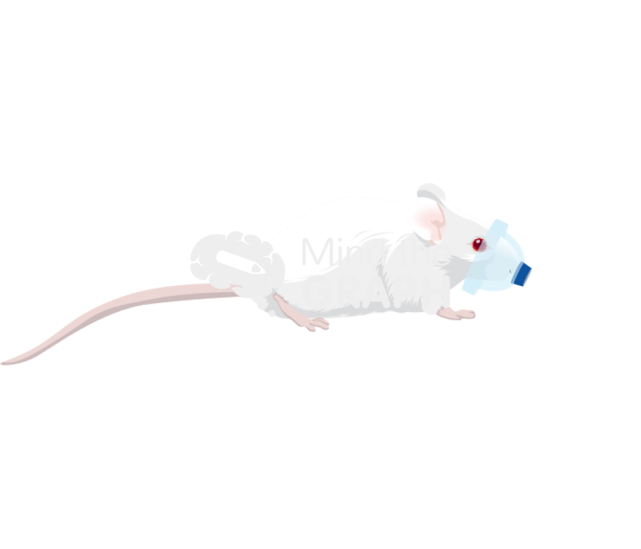 Rat mask application Icons, Symbols, Pictures, and Images