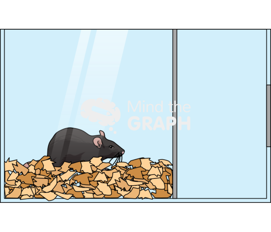 Rat olfatory test bedding lateral Icons, Symbols, Pictures, and Images