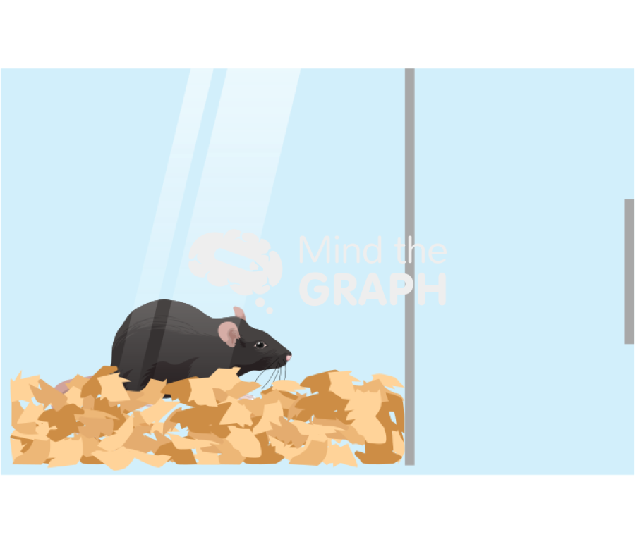 Rat olfatory test bedding lateral Icons, Symbols, Pictures, and Images